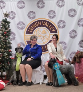 Cheron's Locked And Loaded