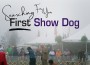 F Searching For Your First Dog Show F Searching For Your First Dog Show