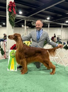 Galewinn's Simma Down