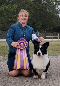 Geran's Big Money Of Glasshouse