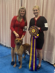 Glasscreek Fore! By Presidio