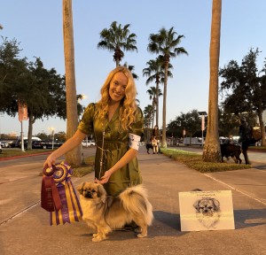 Haylily’s Shenanwood Cherri on Top