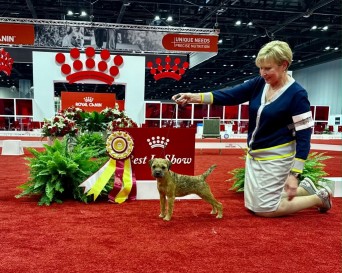 Meadowlake No More Cloudy Days