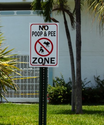 No,Dogs,Poop,And,Pee,Zone,Sign.,Red,Sign,Based