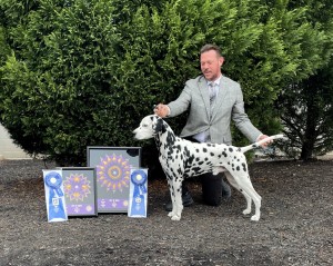 Planett's Sun Valley