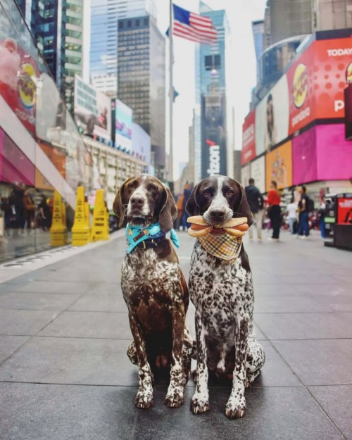 Samantha Johnson GSP