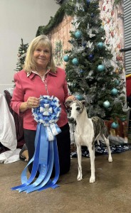 Texano Order Of The Phoenix