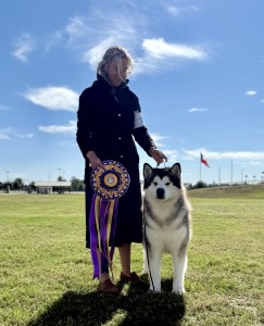 Tru North’s He Said He Was Gonna Call