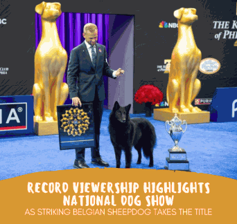 NBC National Dog Show