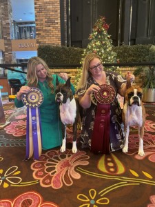 Utopia's Double Vision