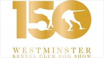 Westminster 150th