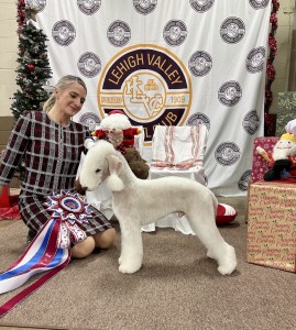 Willow Wind First Class Top Hat Dancer