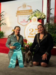 Wirewick Afterhours Feels Like A Regret