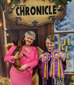 Wizbang's Judge Dredd