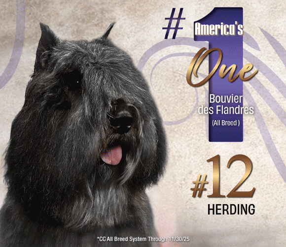 30 Paquette_SR122025