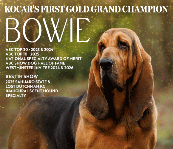 31 2026_Barber Bowie_