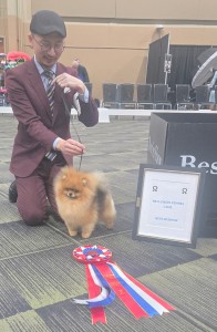 Artistry's Aslan All That Is Good