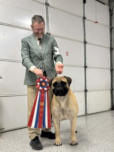 Blackjack Livin' The Dream