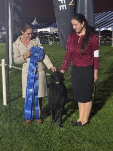 Bristol's Point Break At Sunset