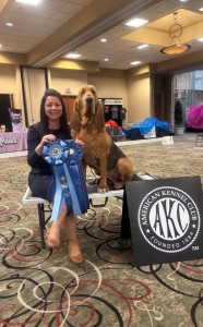 Flessner's Bring Down The House