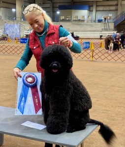 H2O Aegean Robel Alpha & Omega Of Woosh