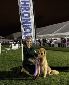 Monark N Landlord Wonder Woman Reload