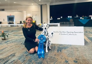 Spotlight No Filter Needed At Amethyst