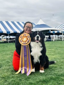 Summers' Anastasia Treasured Godiva