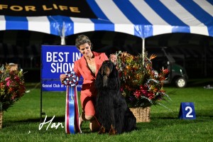 Tamarack Valley View River Of Dreams Palm Springs