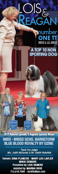 2020 New Year Gif Dog