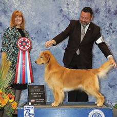 CC Best In Show Club | Canine Chronicle