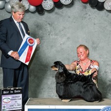 CC Best In Show Club | Canine Chronicle