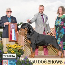 CC Best In Show Club | Canine Chronicle