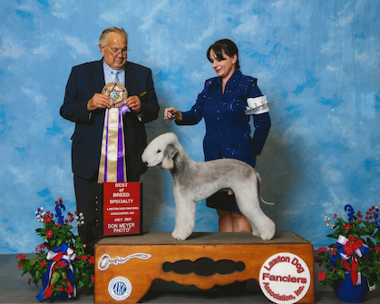 Bedlington Terrier Club of America Southern National Specialty – July 3 ...