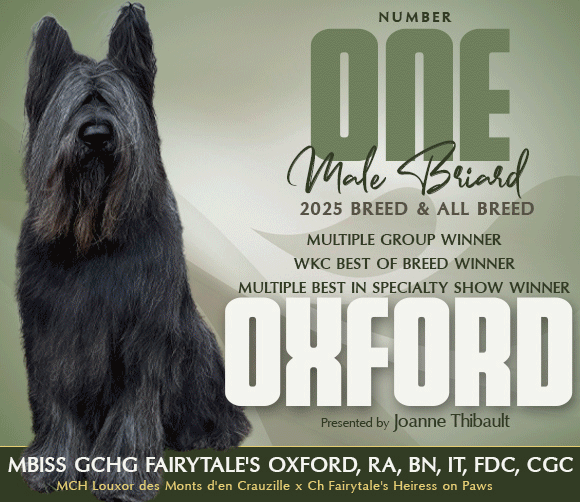 11 SmithOdile_Briard_0126