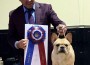 Frenchie_Fox Canyons I Won The War At Goldshield6