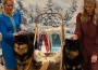 Lapphund_Lapinkaunis I Want It All