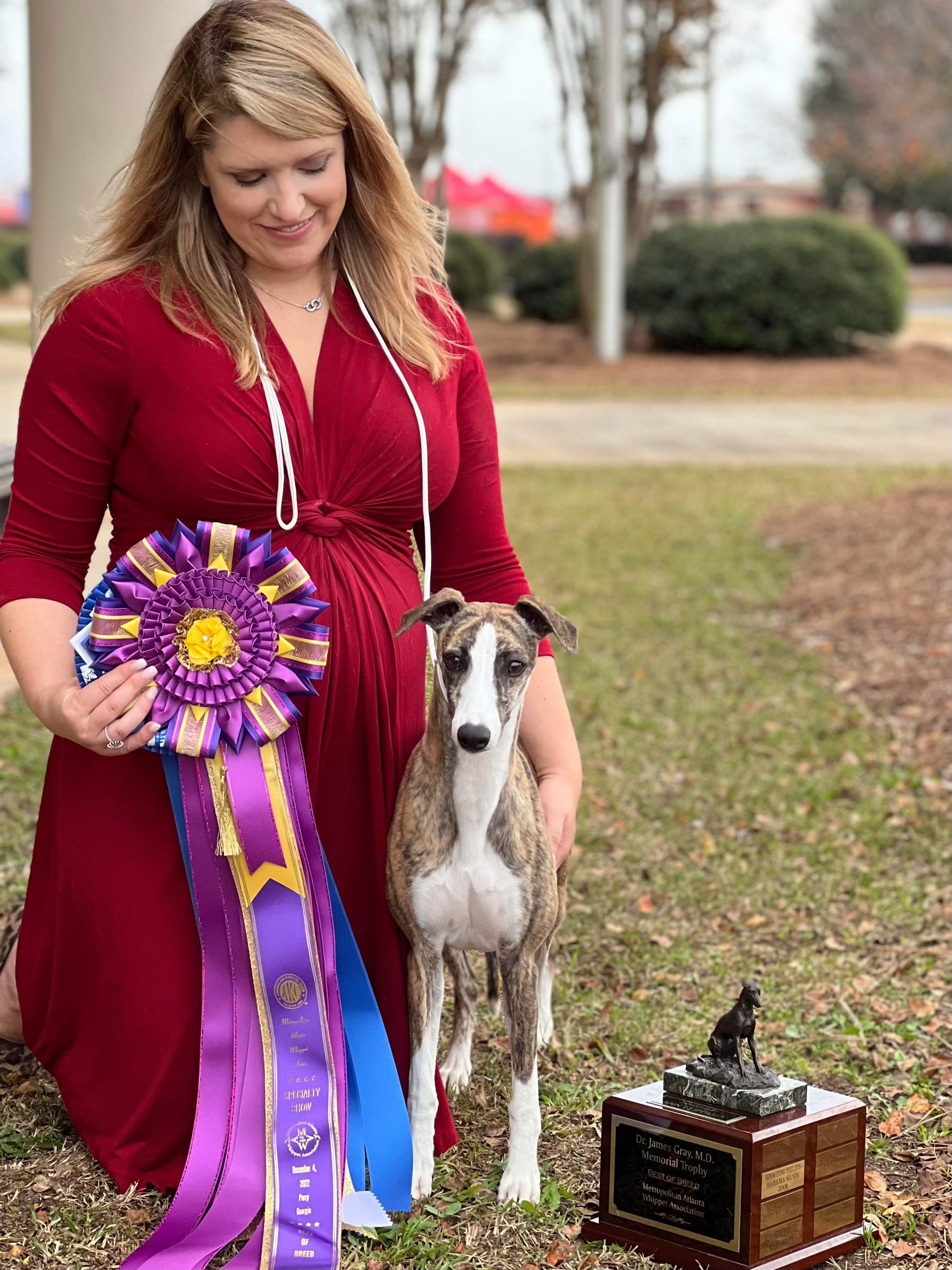 Metropolitan Atlanta Whippet Association – Sunday, December 4, 2022 ...