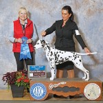 ALL-BREED-Sailor-Gr-1-t.-Berrios-Aususta-10-05