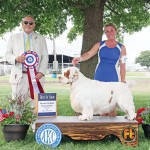 GCHB. Clussexx Crowned King