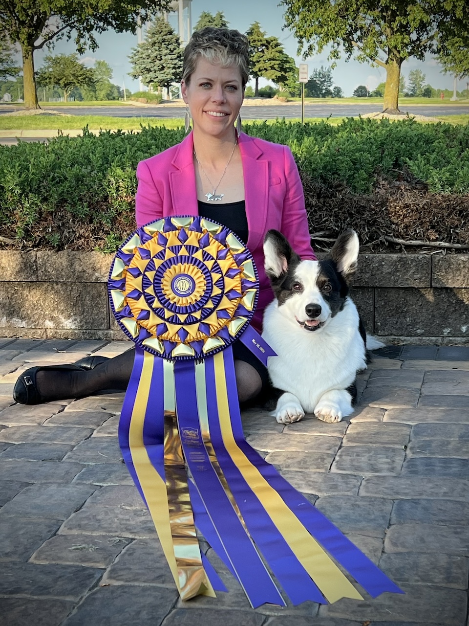 Cardigan Welsh Corgi Club of America National – Saturday, May 18, 2024 ...