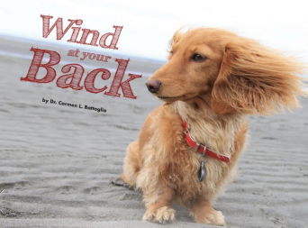 WindAtYourBack