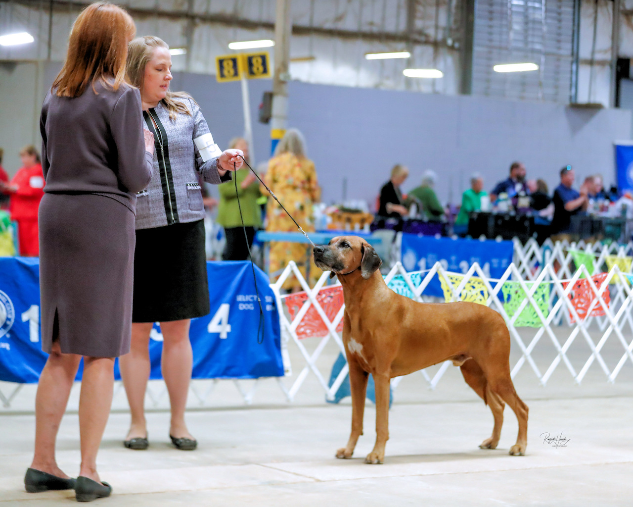 Trinity Valley Rhodesian Ridgeback Club of Texas – Saturday, September ...