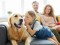 Little,Girl,Whispering,Something,To,Her,Pet,While,Relaxing,On