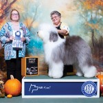 GCH. Ken-Bear’s Miracles Do Happen