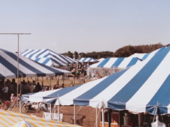Brooksville-Florida-Dog-Show