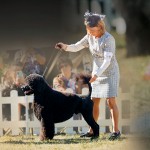 0226-BREED-Sonny_2pg_CC_2