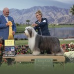 0226-CC-02-26-2026-Wathen