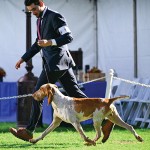 0226-Michalis-AB-Stats