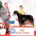 0226-Prince-BOB-Royal-Canin-2025